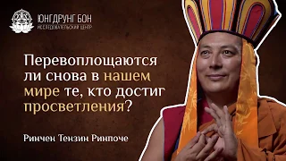 Перевоплощаются ли снова в нашем мире те, кто достиг просветления?