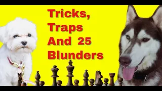 Tricks, Traps And Blunders 25