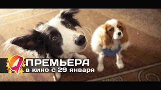 Ёлки лохматые (2015) HD трейлер | премьера 29 января