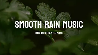 ☔  마음이 안정되는 새, 빗소리  | 비, 바람, 새, 잔잔한 피아노