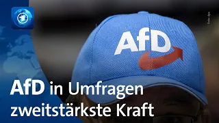 ARD-DeutschlandTrend: Ampelkoalition ohne Mehrheit, AfD zweitstärkste Kraft