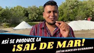 ASÍ SE EXTRAE LA SAL DIRECTO DEL MAR