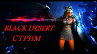 Black Desert online стрим , что делать на вялом уровне , играю на EU