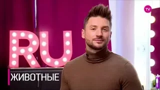 Сергей Лазарев. "Ассоциации" на RU TV.