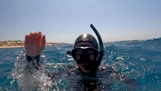 Vlog 9: A day diving with Liquid Dive Adventures, Tofo Mozambique