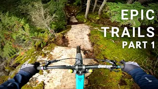 Best MTB Trails of 2021 | Part 1