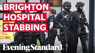 Brighton hospital stabbing: Man arrested after staff member stabbed