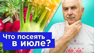 ЕЩЕ НЕ ПОЗДНО ПОСЕЯТЬ В ИЮЛЕ! Посейте эти овощи сейчас и до зимы будете обеспечены свежей зеленью