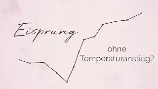 Ist ein Eisprung ohne Temperaturanstieg möglich? I Zyklusgeflüster