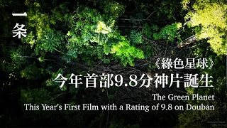 今年首部9.8分神片誕生，觀眾大受震撼：這也能拍出來？Highly Rated Documentary on Plants Amazes Chinese Audience