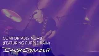 David Gilmour - Comfortably Numb (featuring Purple Rain)