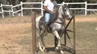 EQUITAÇÃO DE TRABALHO