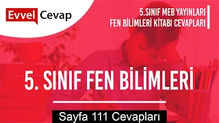 5. Sınıf Fen Bilimleri Ders Kitabı Cevapları Meb Yayınları Sayfa 111