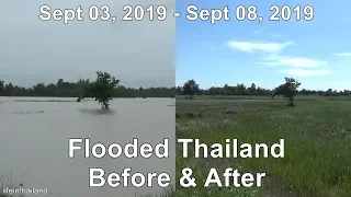 Thailand Flooding, The Farms after the water receded and a before and after comparison
