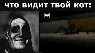 Что ВИДИШЬ ты vs Что ВИДИТ твой кот