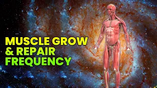 Muscle Growth Subliminal: Muscle Healing Frequency, Muscle Repair & Recovery Music