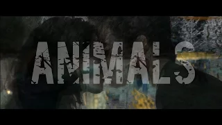 Twilight Saga I ANIMALS I