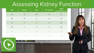 Assessing Kidney Function: Glomerular Filtration Rate (GFR): Nephrology| Lecturio