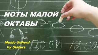 НОТЫ МАЛОЙ ОКТАВЫ: как быстро выучить в скрипичном и басовом ключах?