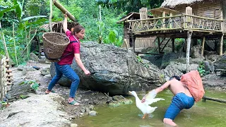 FULL VIDEO: 90 days of bad guys breaking into the farm - Harvesting wild fruits go to market sell.