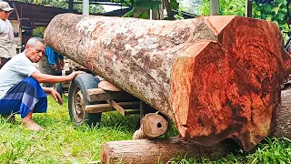 Extraordinary !!sawing process durian tree giant Which long And expensive