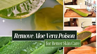 Elevate Your Skin Care Routine with Aloe Vera | Part 1: Removing the Poison