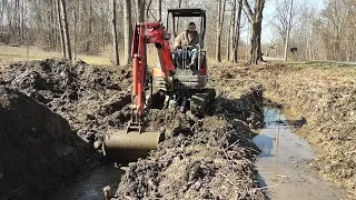 Digging Drainage Kubota U25/ Cleaning Up Brush