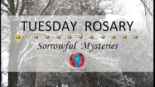 Tuesday Rosary • Sorrowful Mysteries of the Rosary 💜 January 23, 2024 VIRTUAL ROSARY - MEDITATION