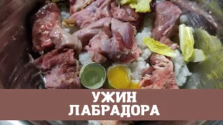 Ужин лабрадора, из чего состоит натуральное кормление