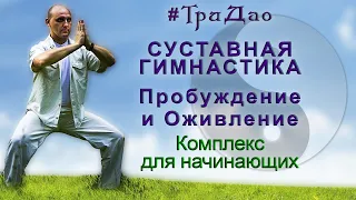 Суставная гимнастика Цигун | Комплекс для начинающих | 20 минут