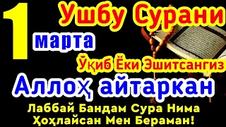 УШБУ СУРАНИ ХАР КУНИ УҚИНГ ЁКИ ЭШИТИНГ | ЖУДАЯМ КУЧЛИ ДУО ХОНАДОНИЗГА ФАЙЗ БАРАКА, ОМАД, КЕЛТИРАДИ