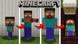 LA VITA DI HEROBRINE SU MINECRAFT