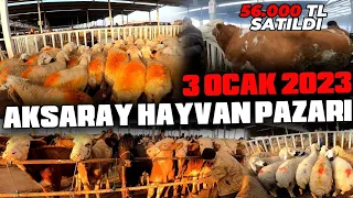 3 Ocak 2023 Aksaray Canlı Hayvan Pazarı #hayvanpazari