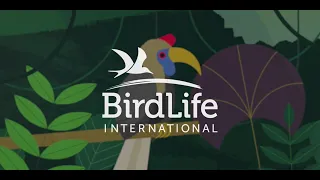 Hatch at BirdLife | Make a World of Difference