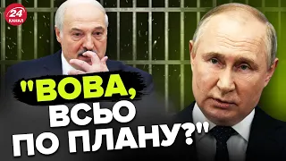 Тільки ГЛЯНЬТЕ на поведінку ПУТІНА! / Деталі ПОБАЧЕННЯ ЛУКАШЕНКО та ПУТІНА у СОЧІ