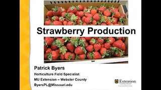 Strawberry Production with Patrick Byers