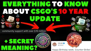 EVERYTHING To Know About CSGO's 10 Year UPDATE + Secret Meaning? CSGO Investing