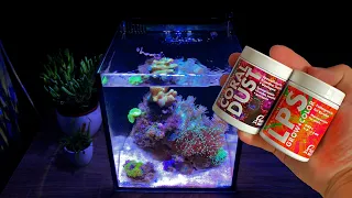 What do Corals eat? Feeding Coral in Reef Tank.
