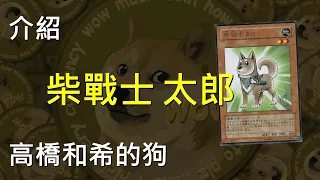 [ 遊戲王 ] 柴戰士太郎 不可以色色 Shiba-Warrior