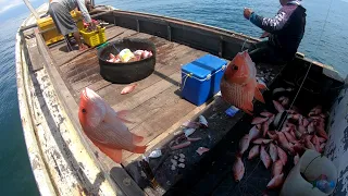 Mancing di pinggiran, hasilnya di luar dugaan!