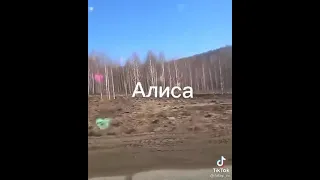 Пародия на ухожу красиво)