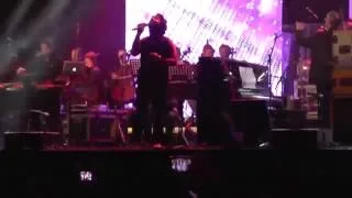 Janam Janam (Dilwale) - Arijit Singh live in the Netherlands 2016