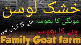 alfalfa hay in Jhelum | Goat farming feeds in jhelum