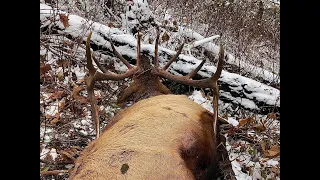 "Our Hunt" - Once In A Lifetime, OR Elk Hunt (Part 2)