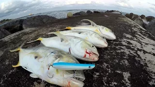 Fish CANNOT Resist This LURE! -Jetty Fishing Florida