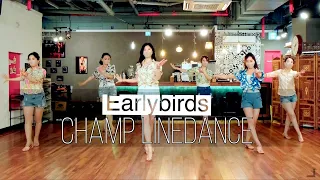 [라인댄스] Earlybirds Line Dance || Earlybirds 라인댄스 || 얼리버즈 라인댄스