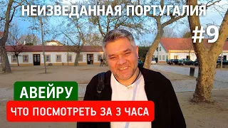 Авейру - что посмотреть за 3 часа в португальской Венеции. Главные достопримечательности