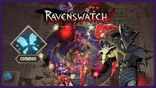 Invincible Rat Summoner | Ravenswatch Solo feat. Fairy Dust