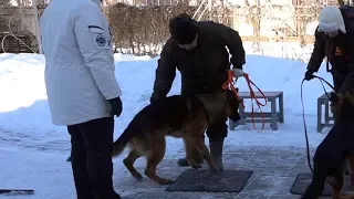 ТОП-5 ошибок недели. Выпуск 3.