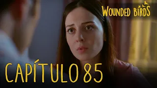 Wounded Birds (Yaralı Kuşlar) | Capítulo 85 en Español